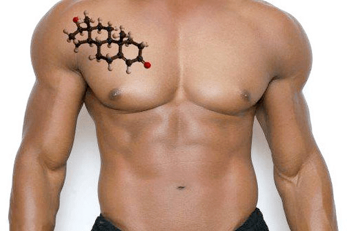 hübscher männlicher Torso